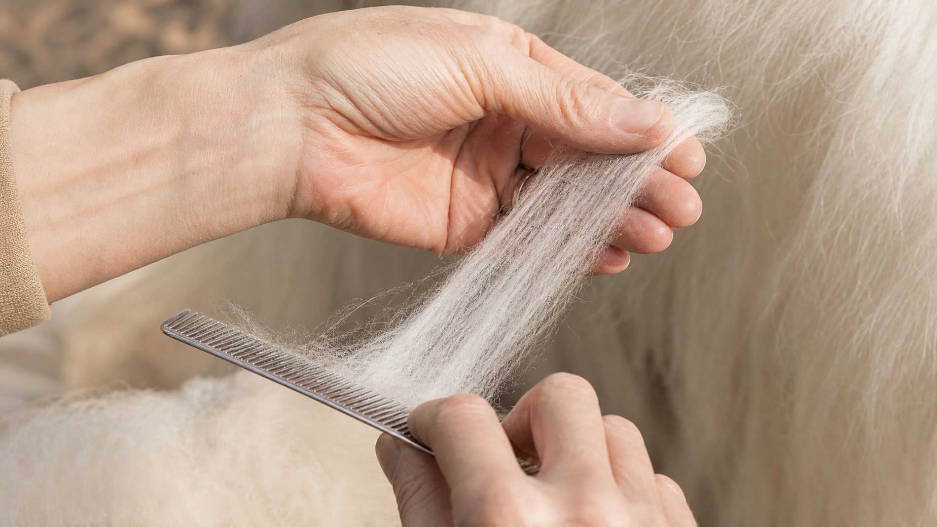 Cashmere garment care and everyday wardrobe longevity