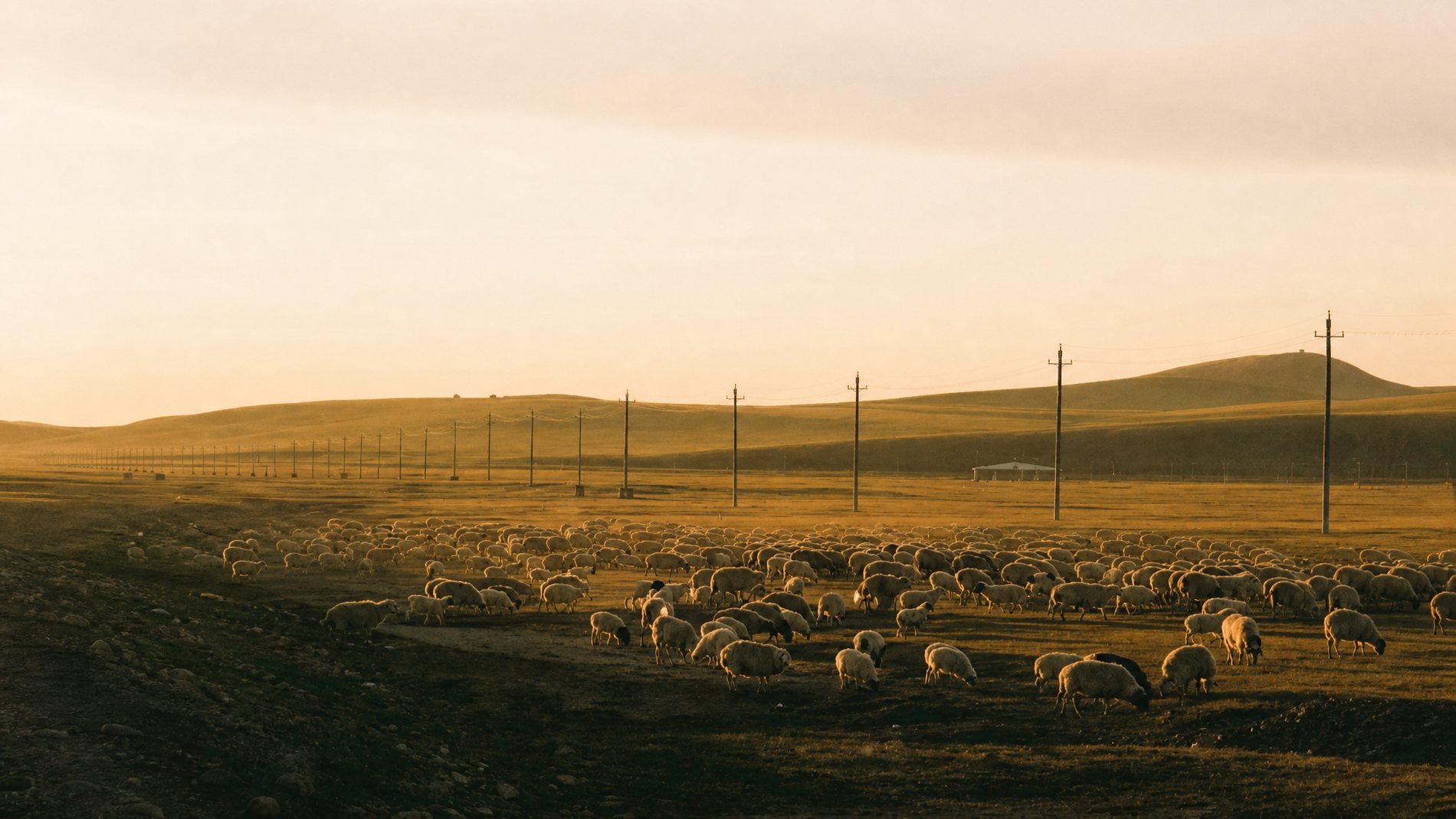 Open landscape representing the natural origin of cashmere